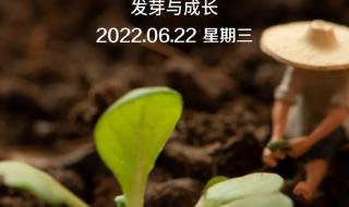 圣诞祝福图片2022