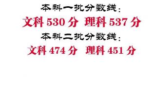 今年山东高考一本分数线是多少